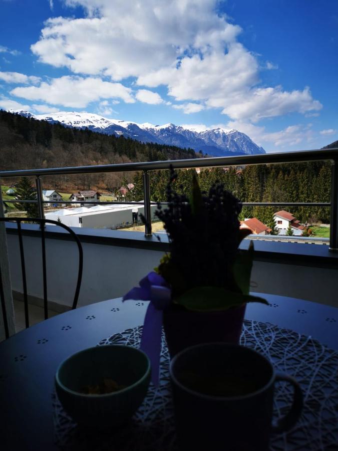Bucegi View 39 - Colina Marei Apartment Sinaia Luaran gambar